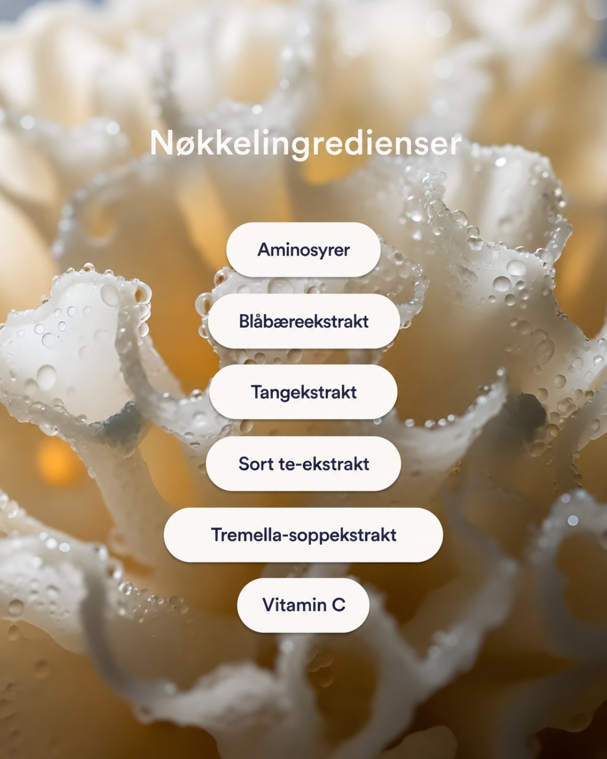 Beautyform® Collagen Patches