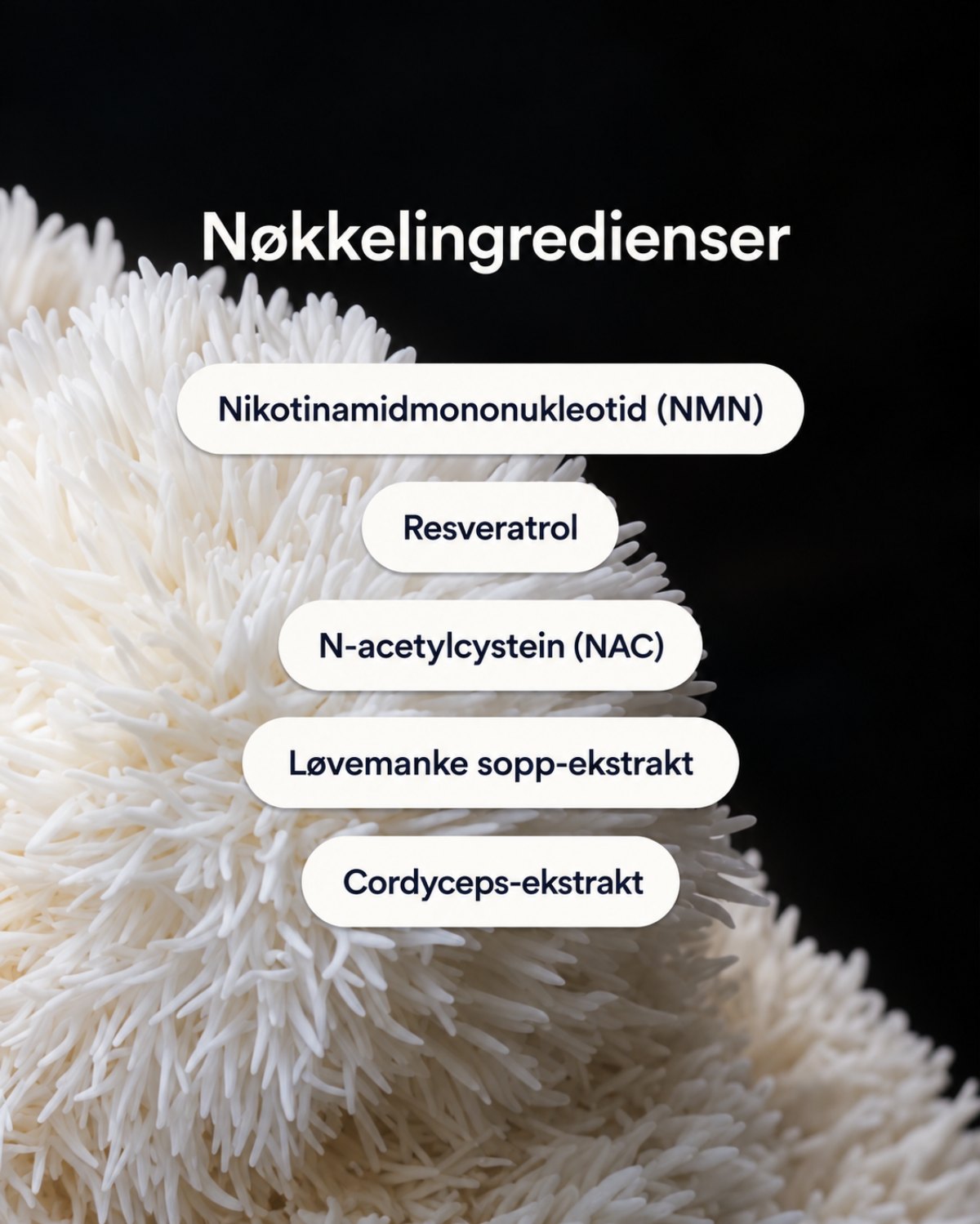 Beautyform® NAD+ Patches